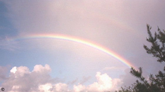 Mendocino Rainbow